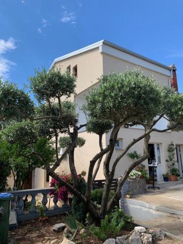 Taverna Coctel ポレッチ エクステリア 写真