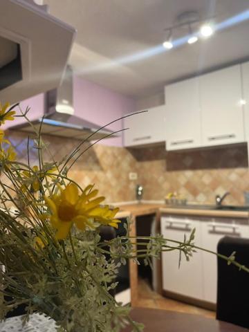 Taverna Coctel ポレッチ エクステリア 写真